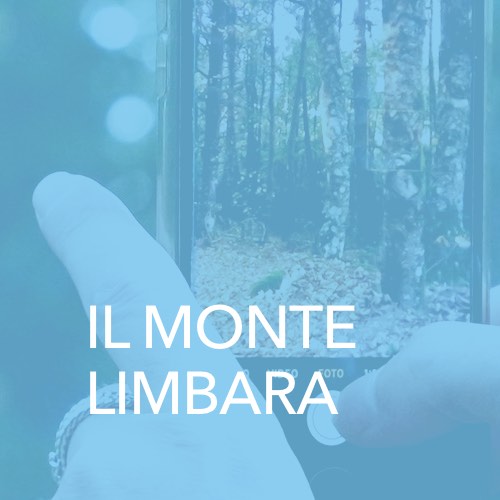 Monte Limbara